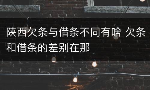 陕西欠条与借条不同有啥 欠条和借条的差别在那