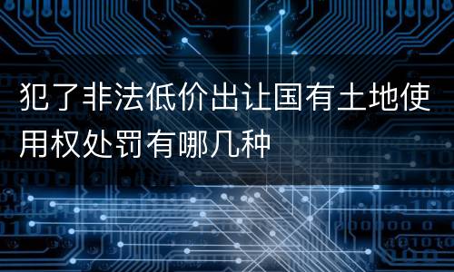 犯了非法低价出让国有土地使用权处罚有哪几种