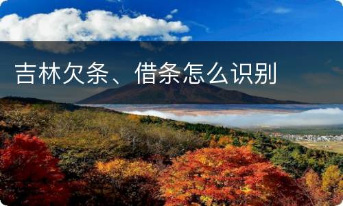 吉林欠条、借条怎么识别