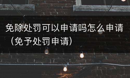 免除处罚可以申请吗怎么申请（免予处罚申请）