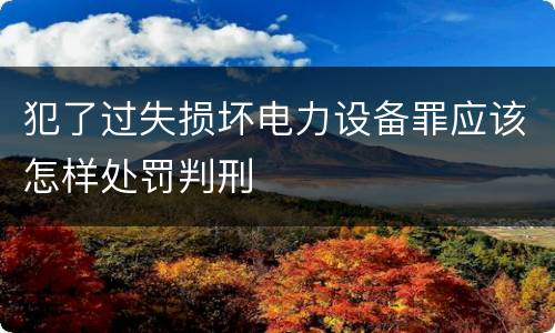 犯了过失损坏电力设备罪应该怎样处罚判刑