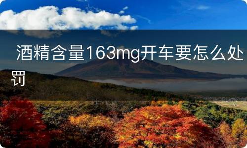  酒精含量163mg开车要怎么处罚