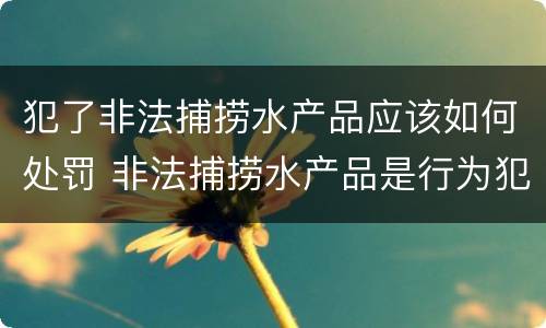 犯了非法捕捞水产品应该如何处罚 非法捕捞水产品是行为犯还是结果犯