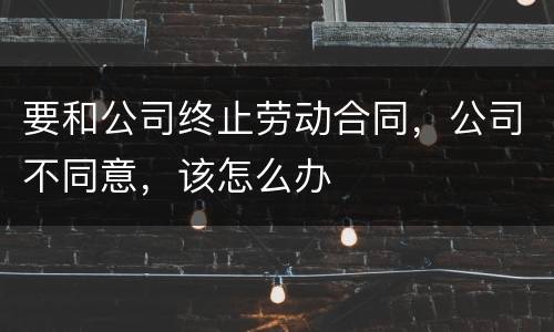 要和公司终止劳动合同，公司不同意，该怎么办