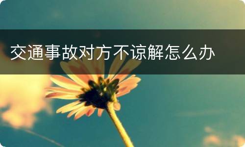 交通事故对方不谅解怎么办