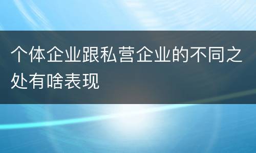个体企业跟私营企业的不同之处有啥表现