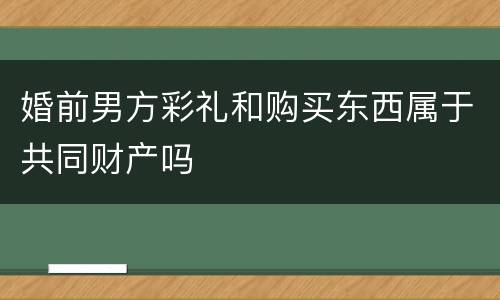 婚前男方彩礼和购买东西属于共同财产吗