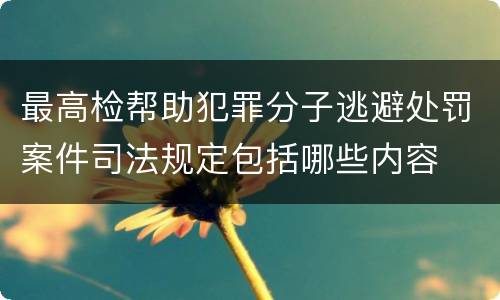 最高检帮助犯罪分子逃避处罚案件司法规定包括哪些内容