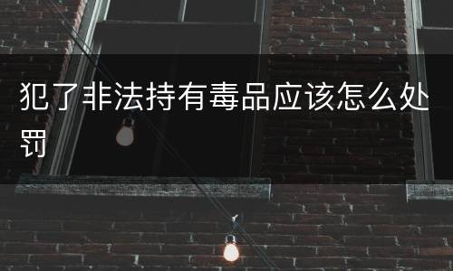 犯了非法持有毒品应该怎么处罚