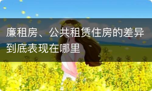 廉租房、公共租赁住房的差异到底表现在哪里