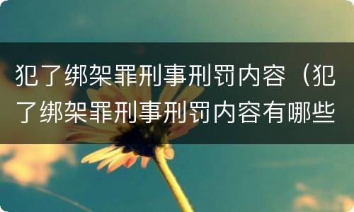 犯了绑架罪刑事刑罚内容（犯了绑架罪刑事刑罚内容有哪些）