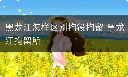 黑龙江怎样区别拘役拘留 黑龙江拘留所