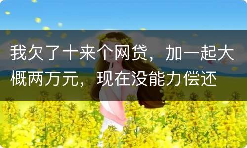 我欠了十来个网贷，加一起大概两万元，现在没能力偿还