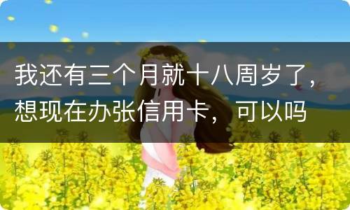 我还有三个月就十八周岁了，想现在办张信用卡，可以吗