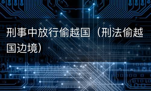 刑事中放行偷越国（刑法偷越国边境）