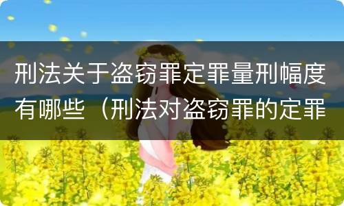 刑法关于盗窃罪定罪量刑幅度有哪些（刑法对盗窃罪的定罪标准）