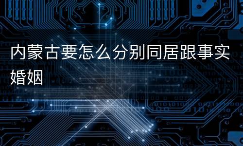 内蒙古要怎么分别同居跟事实婚姻