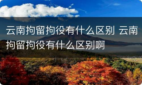 云南拘留拘役有什么区别 云南拘留拘役有什么区别啊
