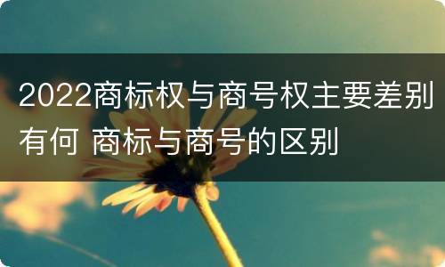 2022商标权与商号权主要差别有何 商标与商号的区别