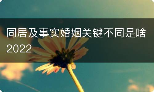 同居及事实婚姻关键不同是啥2022