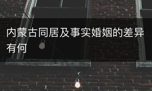 内蒙古同居及事实婚姻的差异有何