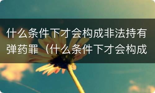 什么条件下才会构成非法持有弹药罪（什么条件下才会构成非法持有弹药罪行）