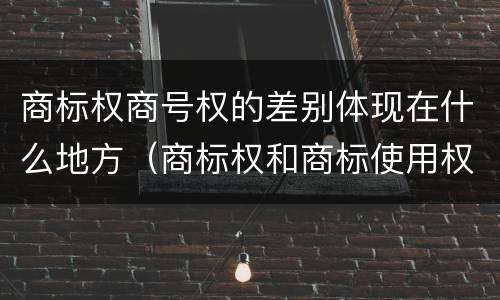 商标权商号权的差别体现在什么地方（商标权和商标使用权的区别）