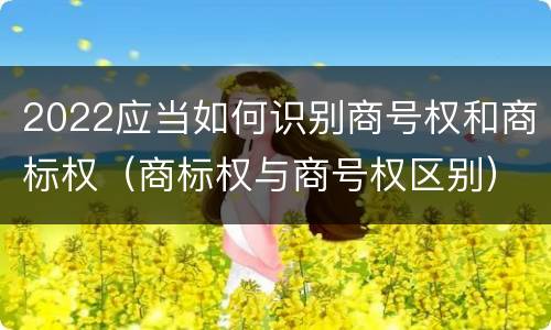 2022应当如何识别商号权和商标权（商标权与商号权区别）
