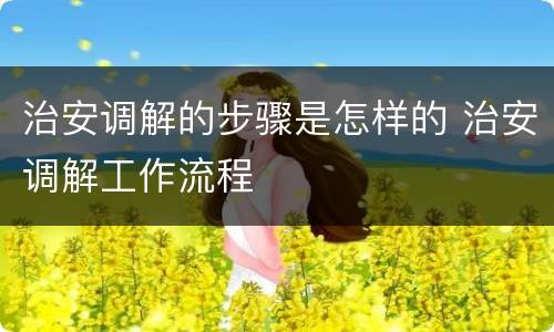 治安调解的步骤是怎样的 治安调解工作流程