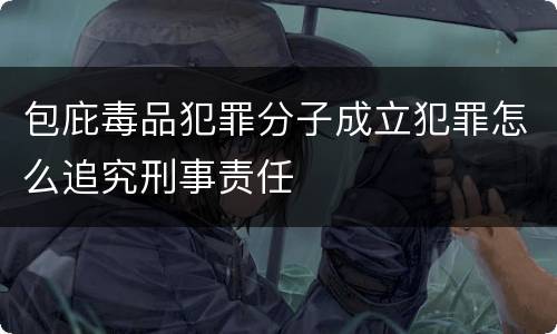 包庇毒品犯罪分子成立犯罪怎么追究刑事责任