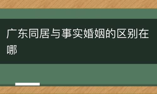 广东同居与事实婚姻的区别在哪
