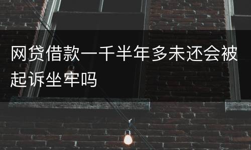 网贷借款一千半年多未还会被起诉坐牢吗