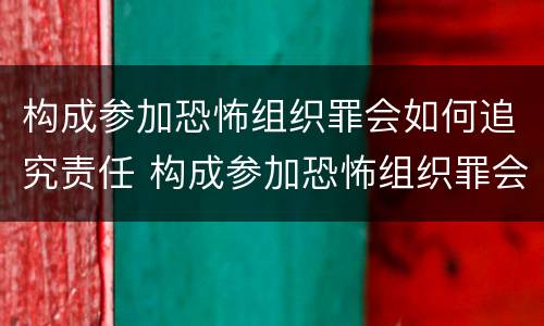构成参加恐怖组织罪会如何追究责任 构成参加恐怖组织罪会如何追究责任呢