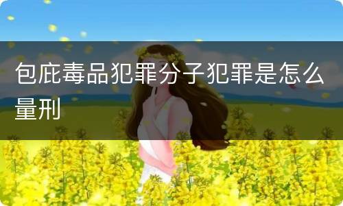 包庇毒品犯罪分子犯罪是怎么量刑