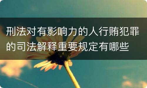刑法对有影响力的人行贿犯罪的司法解释重要规定有哪些