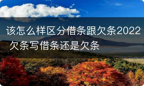 该怎么样区分借条跟欠条2022 欠条写借条还是欠条
