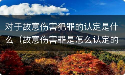 对于故意伤害犯罪的认定是什么（故意伤害罪是怎么认定的）