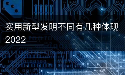 实用新型发明不同有几种体现2022
