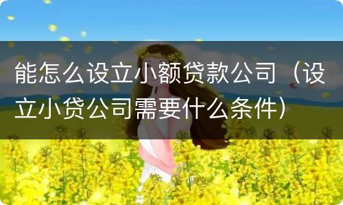 能怎么设立小额贷款公司（设立小贷公司需要什么条件）