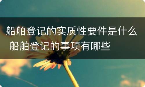 船舶登记的实质性要件是什么 船舶登记的事项有哪些