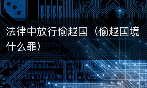 法律中放行偷越国（偷越国境什么罪）