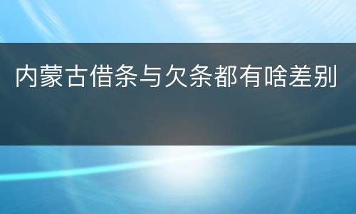 内蒙古借条与欠条都有啥差别