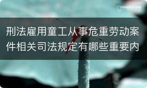 刑法雇用童工从事危重劳动案件相关司法规定有哪些重要内容