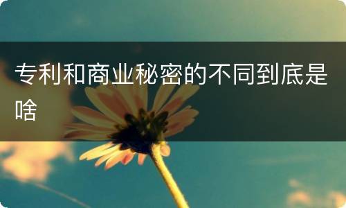 专利和商业秘密的不同到底是啥