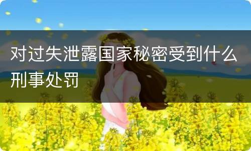 对过失泄露国家秘密受到什么刑事处罚