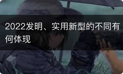 2022发明、实用新型的不同有何体现