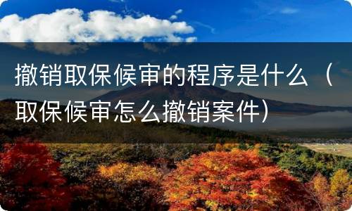 撤销取保候审的程序是什么（取保候审怎么撤销案件）