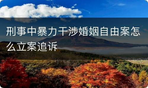 刑事中暴力干涉婚姻自由案怎么立案追诉