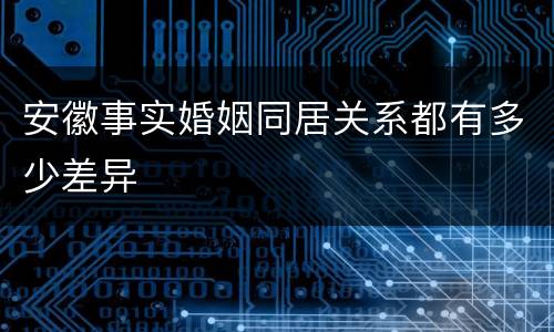 安徽事实婚姻同居关系都有多少差异