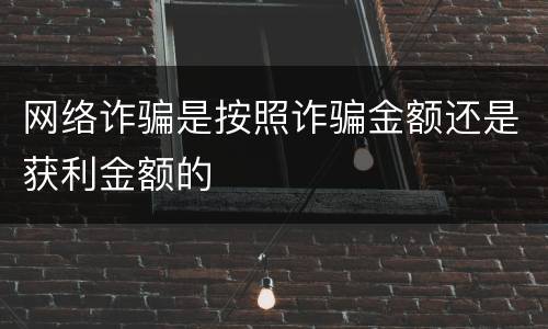网络诈骗是按照诈骗金额还是获利金额的